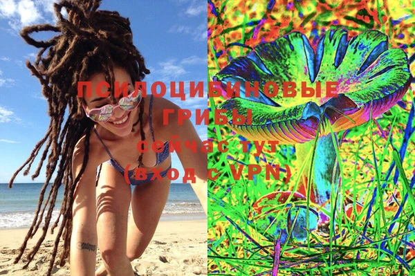 прущий лед Вязники
