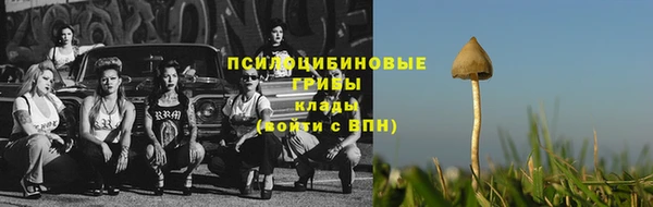 молекула духа Горняк