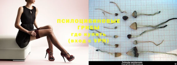 молекула духа Горняк