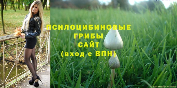 молекула духа Горняк