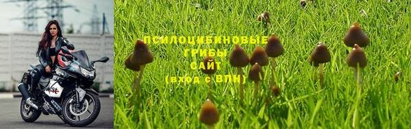 дурь Вяземский
