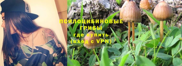 прущий лед Вязники